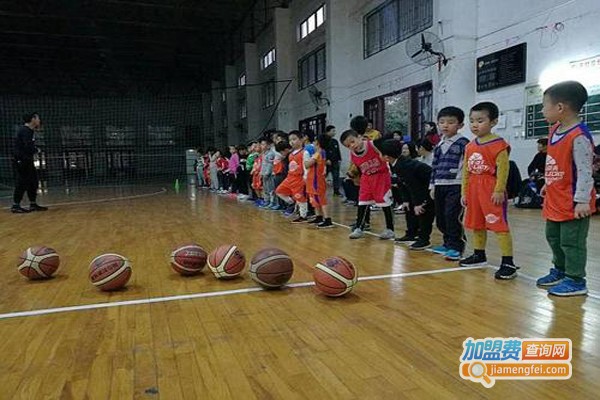 极光篮球俱乐部加盟费