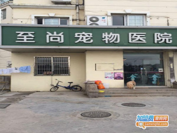 至尚宠物医院加盟费