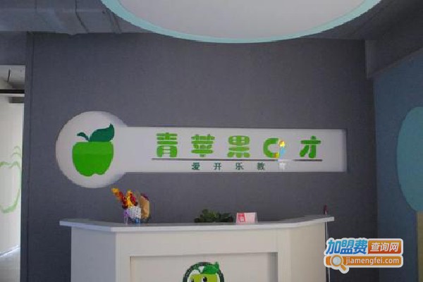 青苹果教育