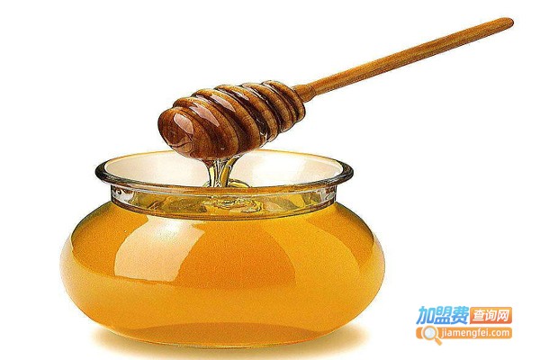 莎尼蜂蜜加盟费