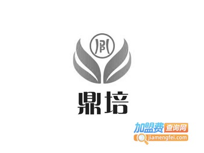鼎培国际教育加盟费