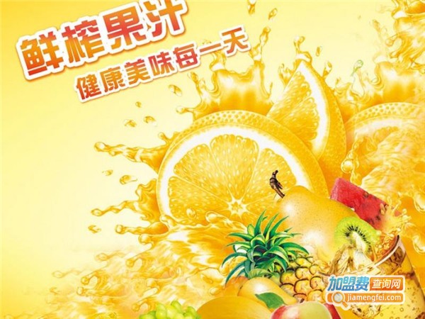 中橙鲜榨橙汁加盟费