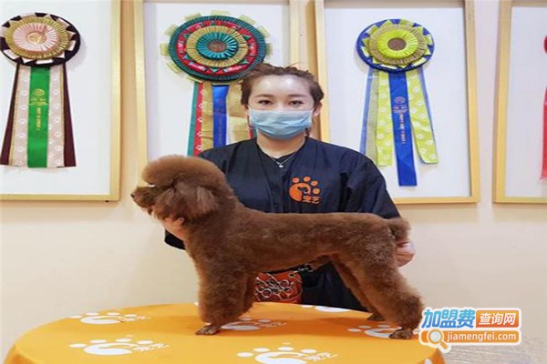 上美宠艺宠物培训加盟门店