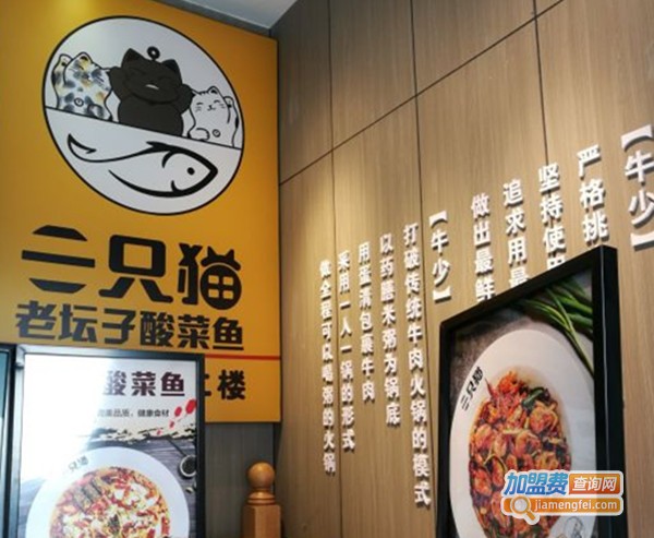 三只猫老坛子酸菜鱼加盟门店