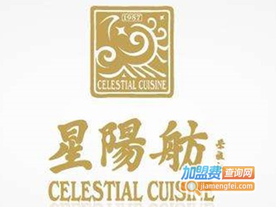 星阳舫加盟费