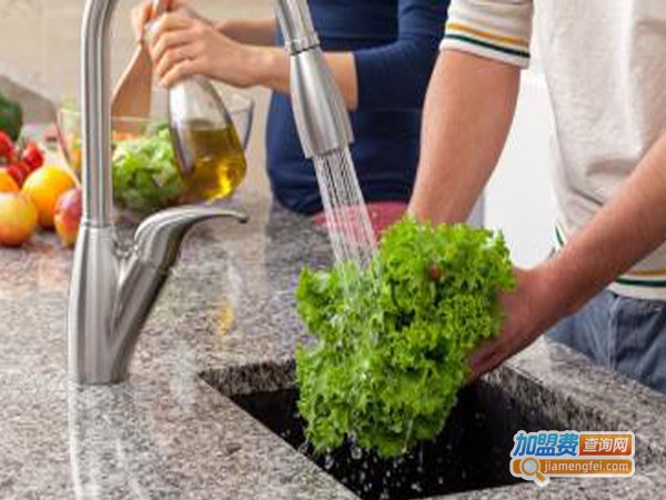 丽能家用垃圾处理器加盟费