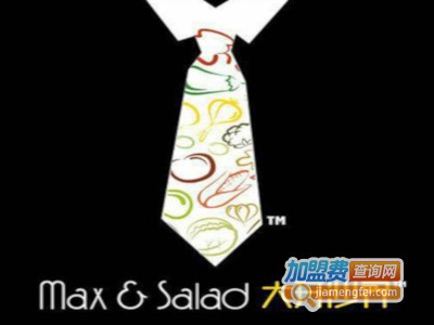 Max&Salad大开沙界加盟费