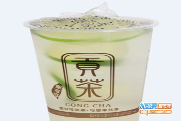 圣可可贡茶加盟费