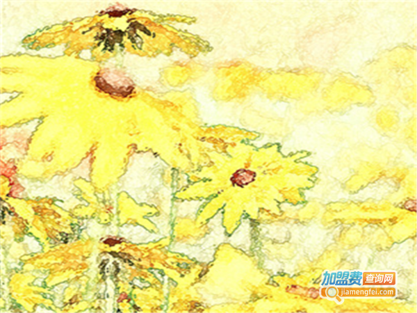 梓妍装饰画加盟费