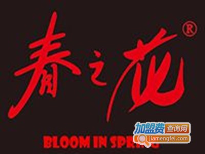 春之花零食加盟费