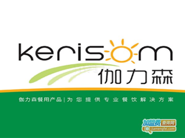 伽力森加盟门店