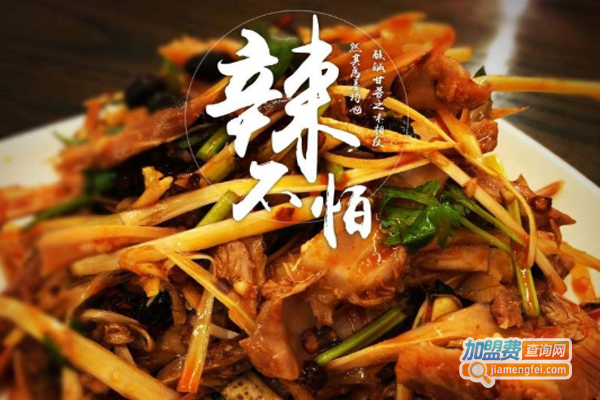 俞记手撕鸡加盟费