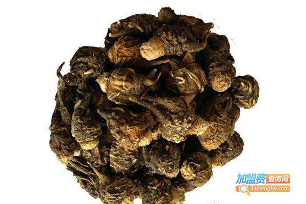 天丽斯玛咖加盟费