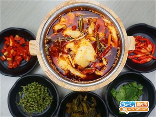 咦屋鱼啵啵鱼加盟费