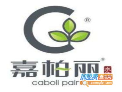 嘉柏丽漆加盟费