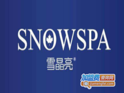 雪晶亮美白祛斑霜加盟费