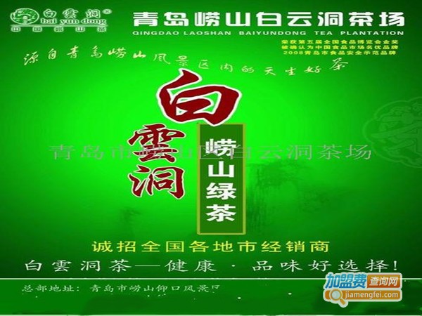 白云洞崂山绿茶加盟门店