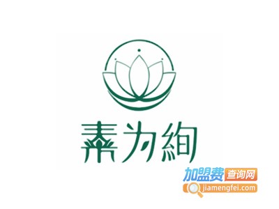 素为绚皮肤护理加盟费