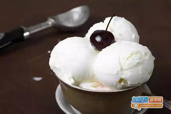 BAIYO酸奶冰淇淋加盟门店
