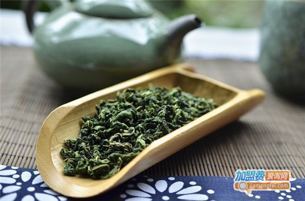 桑叶茶加盟费