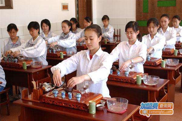 茶禅一味教育加盟费