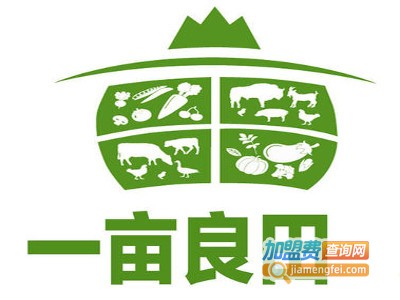 一亩良田牛腩粉加盟