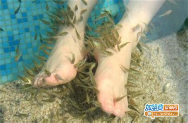 卡哇鱼休闲养生馆加盟费