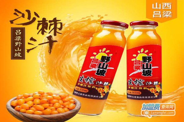 野山坡沙棘汁加盟费