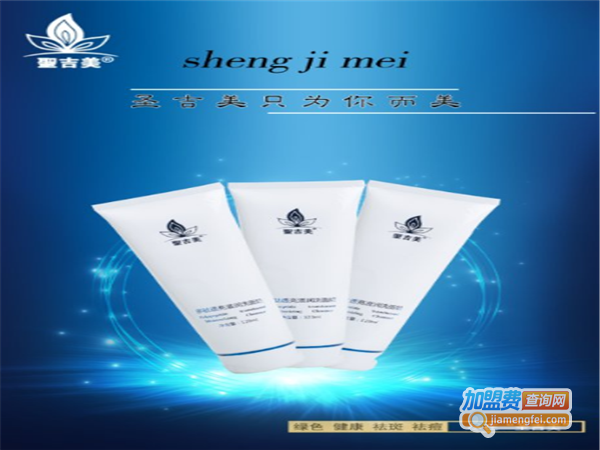 圣吉美加盟费