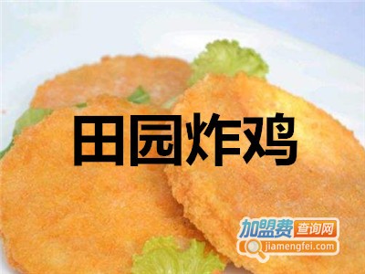 田园炸鸡加盟费
