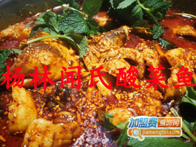杨林闻氏酸菜鱼加盟费
