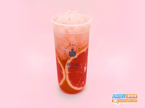喝茶猫加盟门店