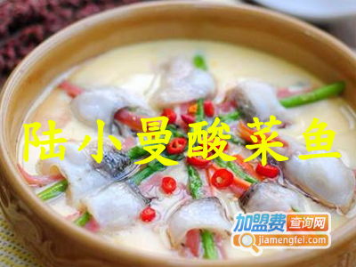 陆小曼酸菜鱼加盟费