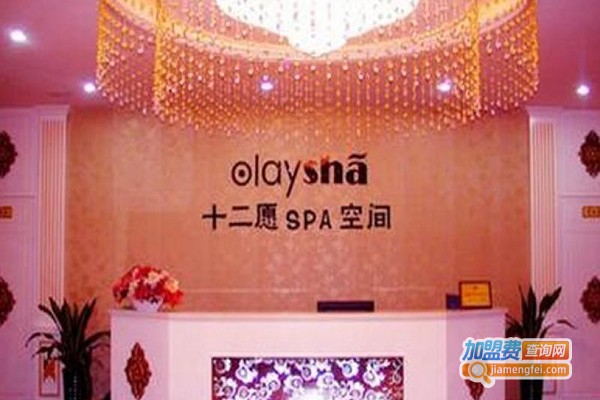 十二愿SPA空间养生加盟门店