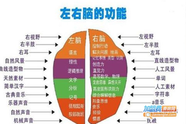 忆发图强全脑潜能教育加盟费