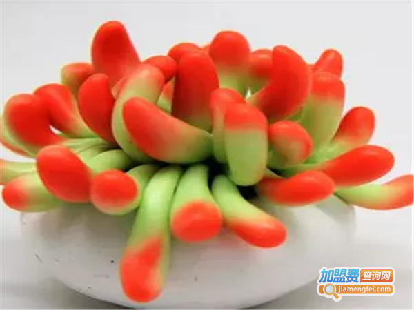 乐思陶软陶加盟费