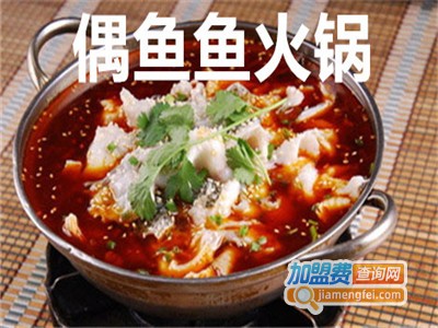 偶鱼鱼火锅加盟费