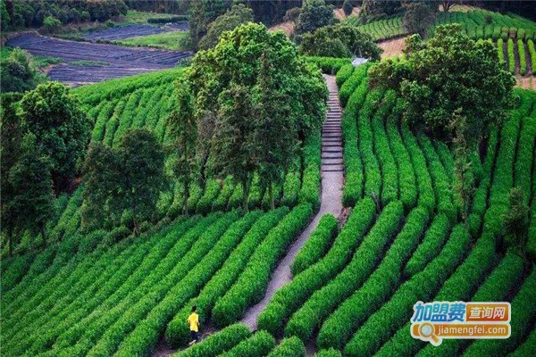 福今茶业加盟费