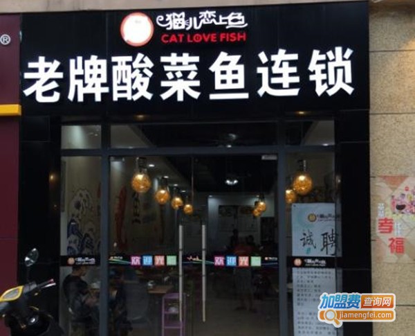猫儿恋上鱼老牌酸菜鱼加盟费