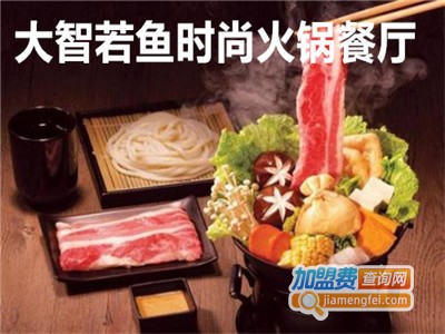 大智若鱼时尚火锅餐厅加盟费