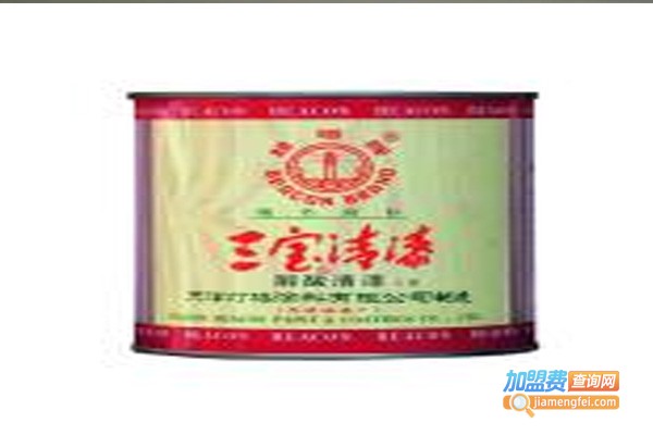 三宝涂料加盟费