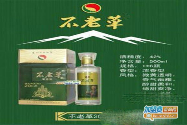 不老草酒加盟费