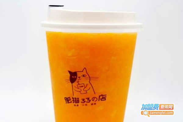 肥猫33の店加盟费