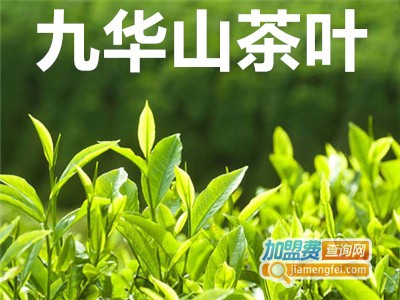 九华山茶叶加盟费