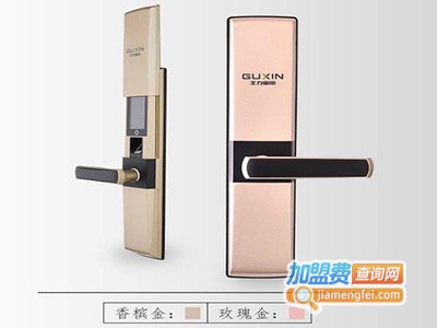 王力智能门锁加盟费