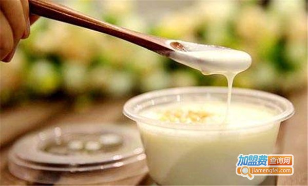 花心手工酸奶加盟费