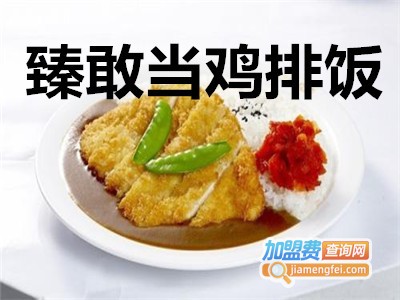 臻敢当鸡排饭加盟费