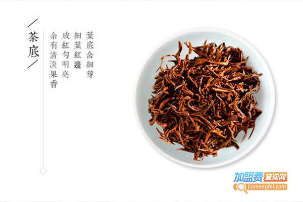 宁红茶叶加盟费