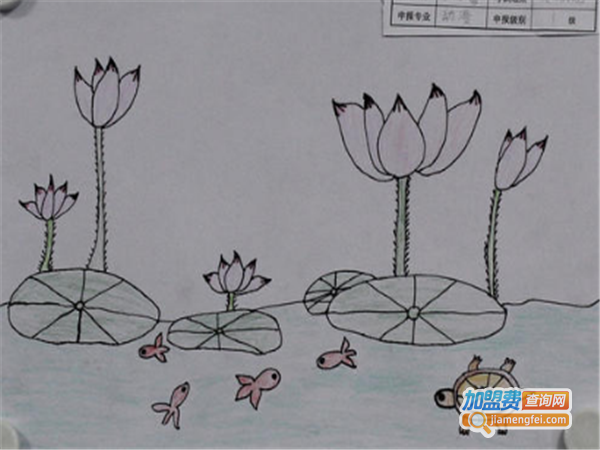 艾丽思文化艺术培训