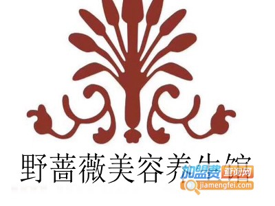野蔷薇美容养生馆加盟费